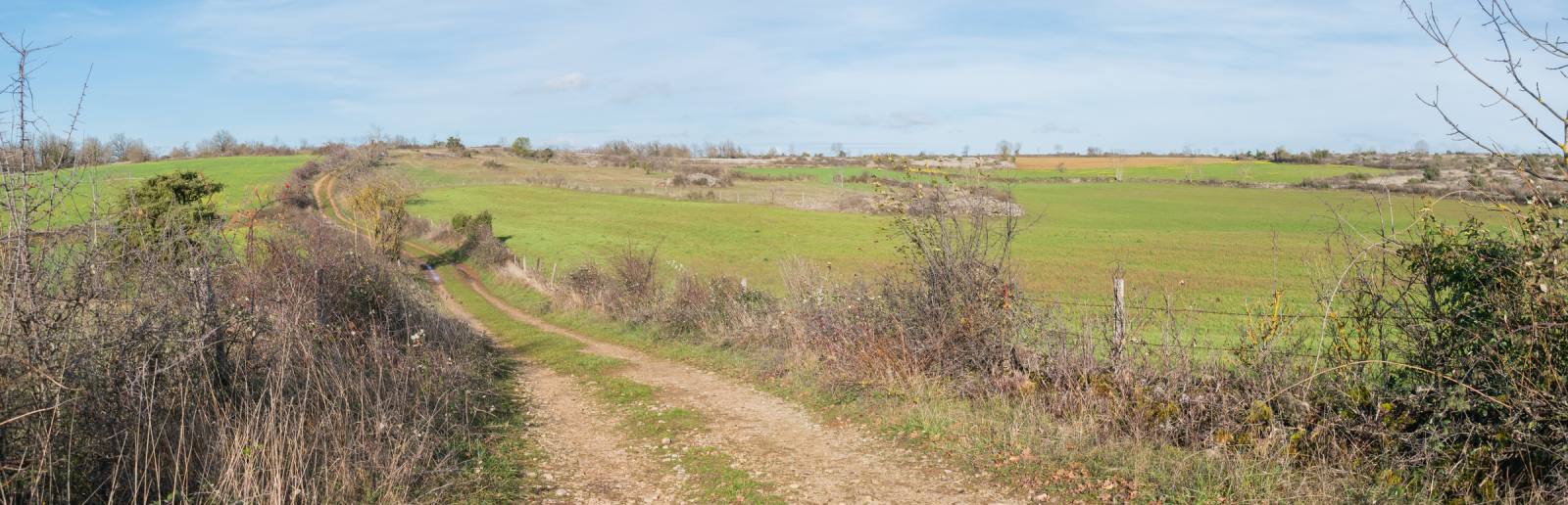 Feldweg durch die offenen Wiesen des Causse Comtal, Aveyron
